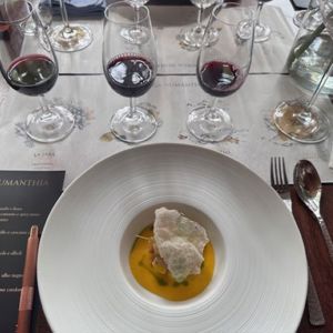 Elegância e História abriram o tasting da espanhola Numanthia